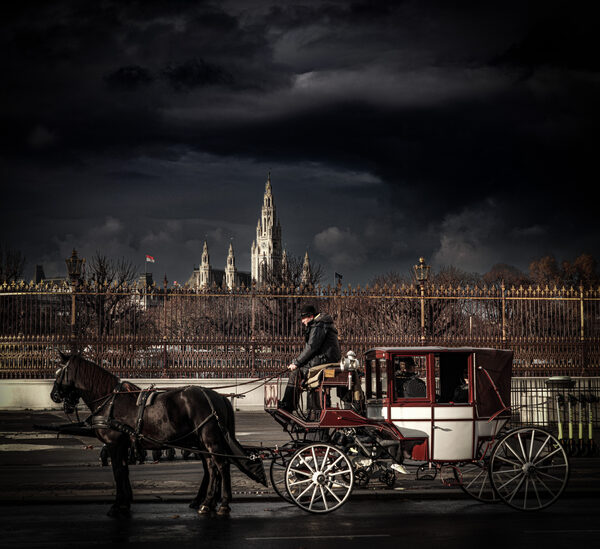 Vienna vibe